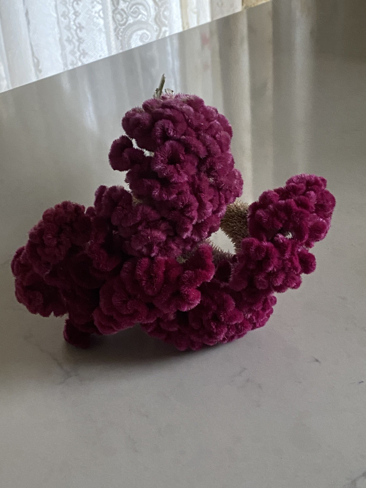 COCKSCOMB Celosia DRIED FLOWERS Bunch BOUQUET Bundle Wedding Assorted PINK HUES