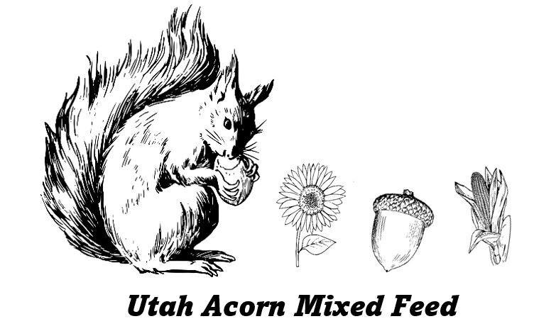 1 LBS Utah Acorn Mix Squirrel Feed With Dried Corn, Dried Black Sunflower Seeds