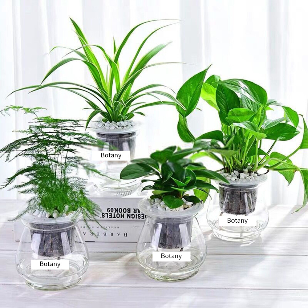 Compatible with Brother 2PK Black on White TZ-241 Label Tape TZe241 3/4"