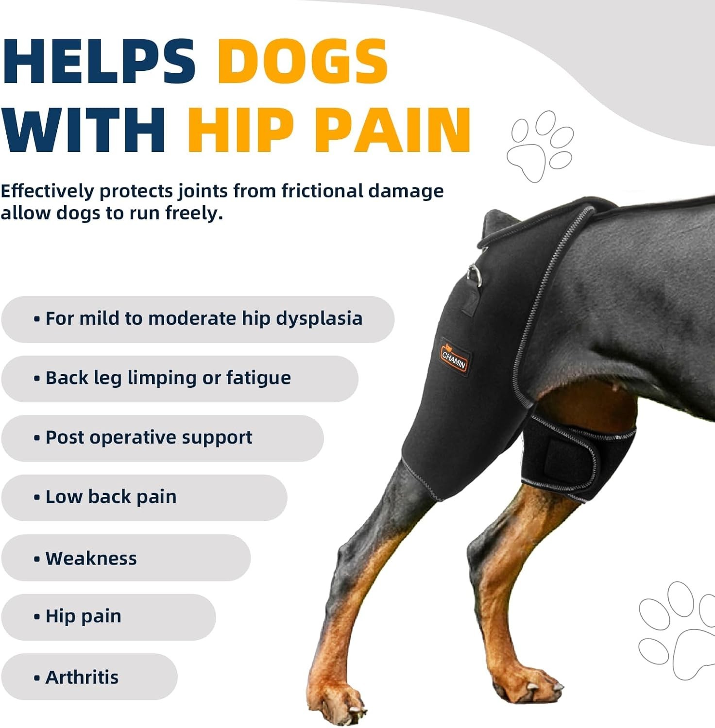 CHAMIN Dog Hip Brace With Back Handheld Design For Hip Dysplasia L - Open Box