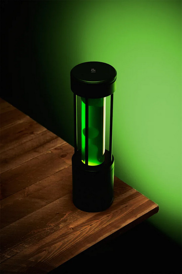 Liquid Motion Lamp A mesmerizing, modern display