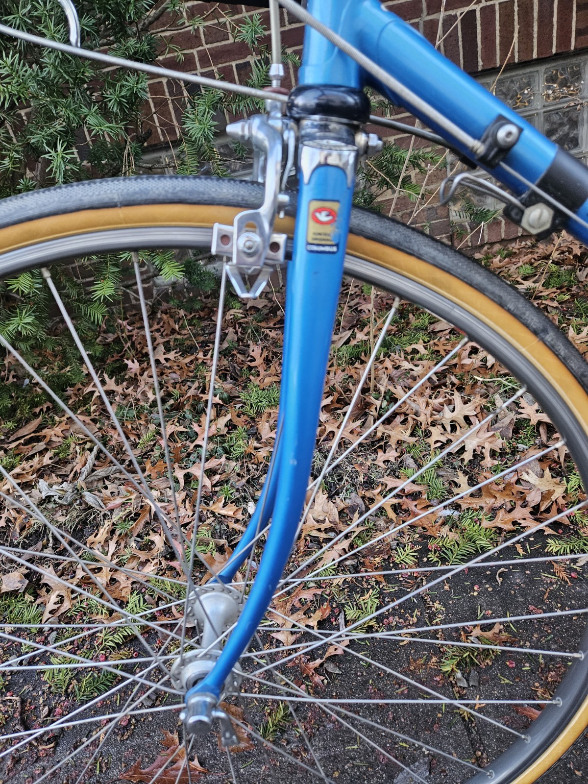 80s Palo Alto (Biemmezeta) racing bike, 14 speed, 65 cm, Columbus f/f, used