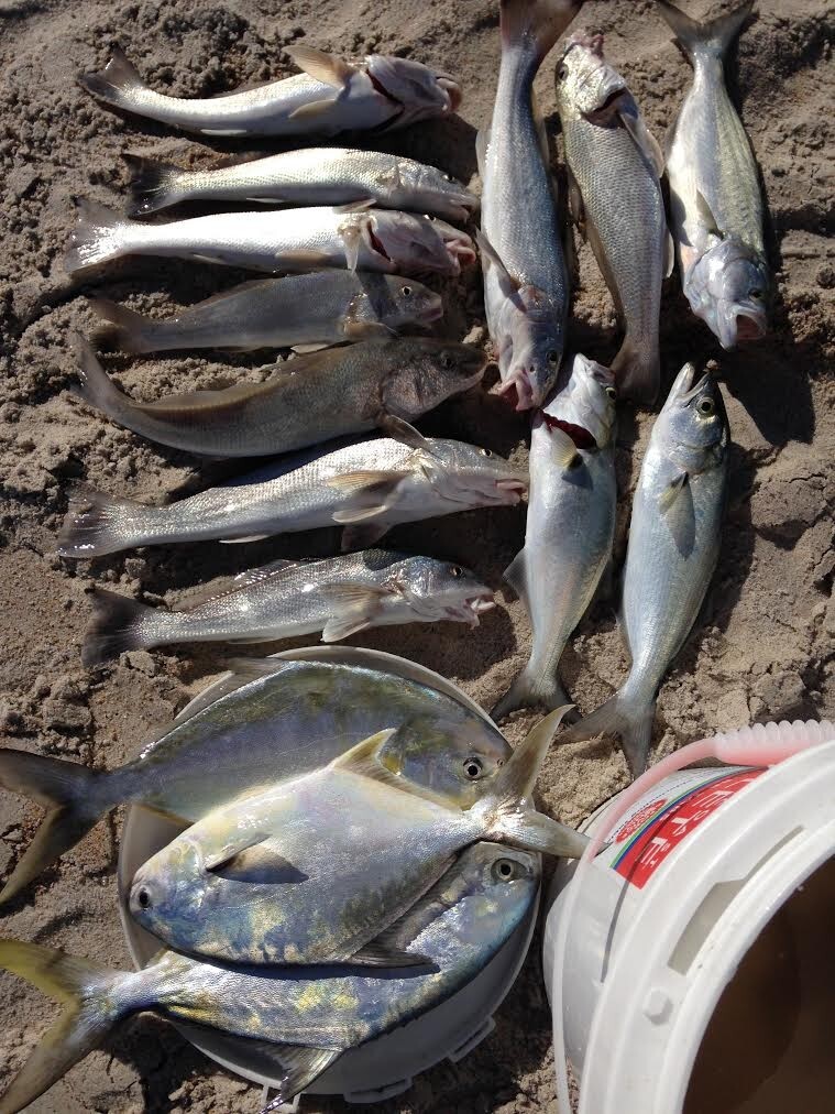 "Super Sand Flea" Hi-Low Fishing Rigs Bullet Floats Pompano Whiting Snappers