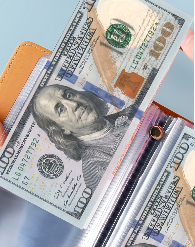 50 Pockets Dollar Bill Holders with PU Mini Binder Sleeves Protector for Notes
