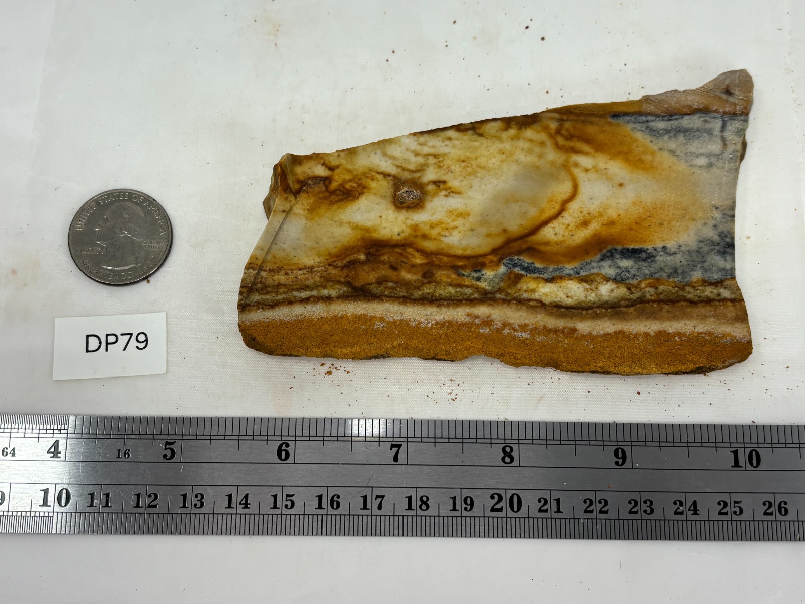 Disaster Peak Picture Jasper Slab Cabbing Lapidary Collecting Combo Ship Avail