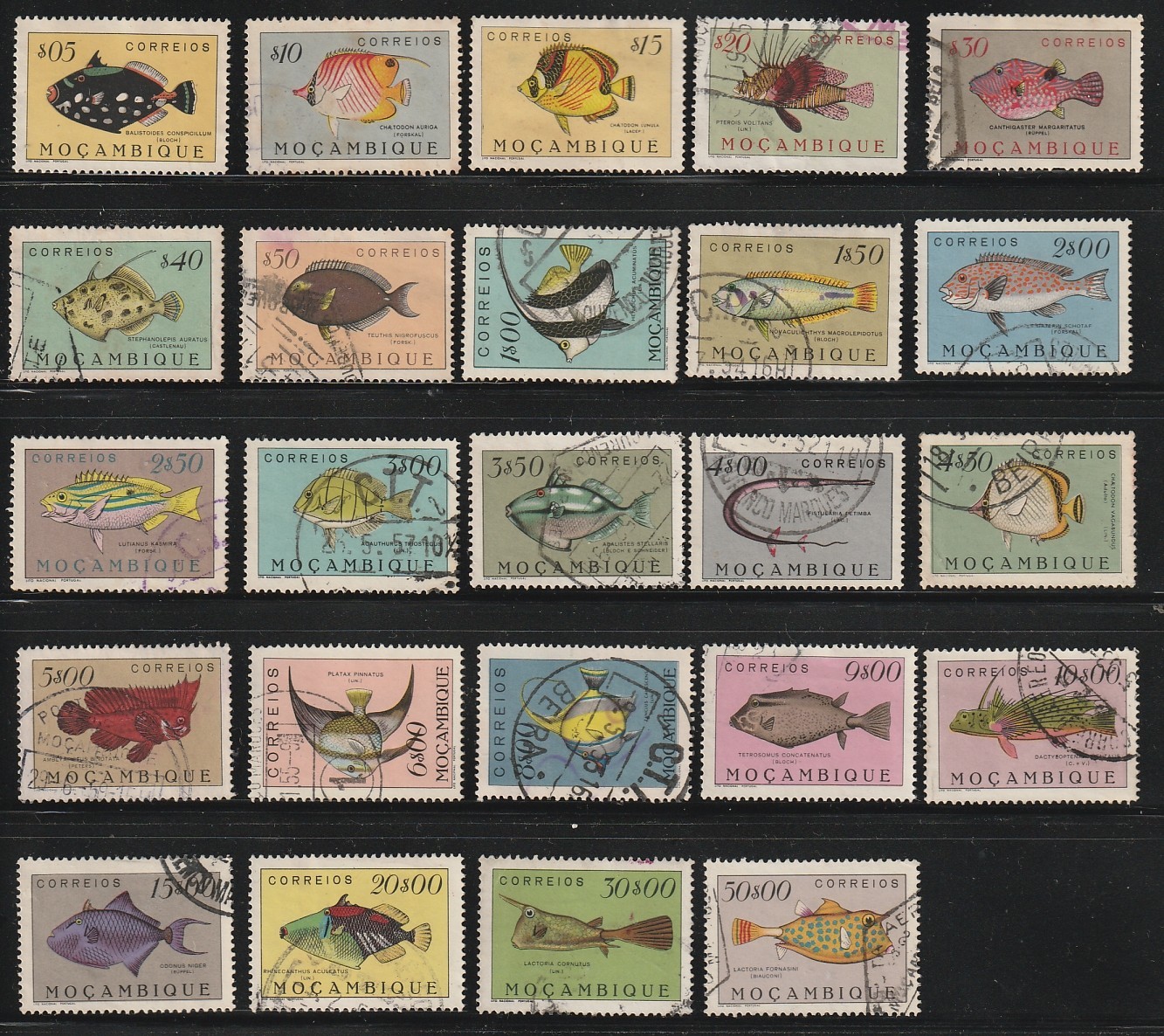 Mozambique    1951    Sc # 332-55    Fish    Complete set    Used