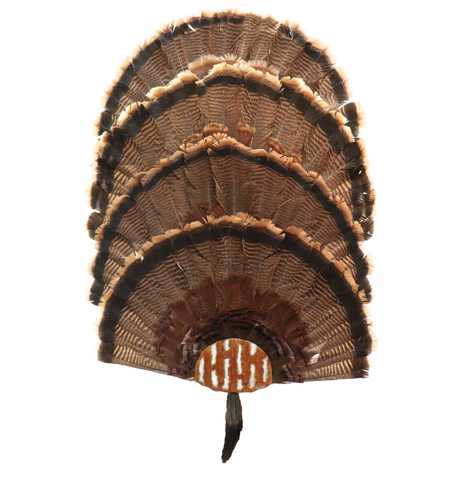 Turkey Fan Mounting Kit. Multiple Fan Display System 4 Fan System Rustic Tin
