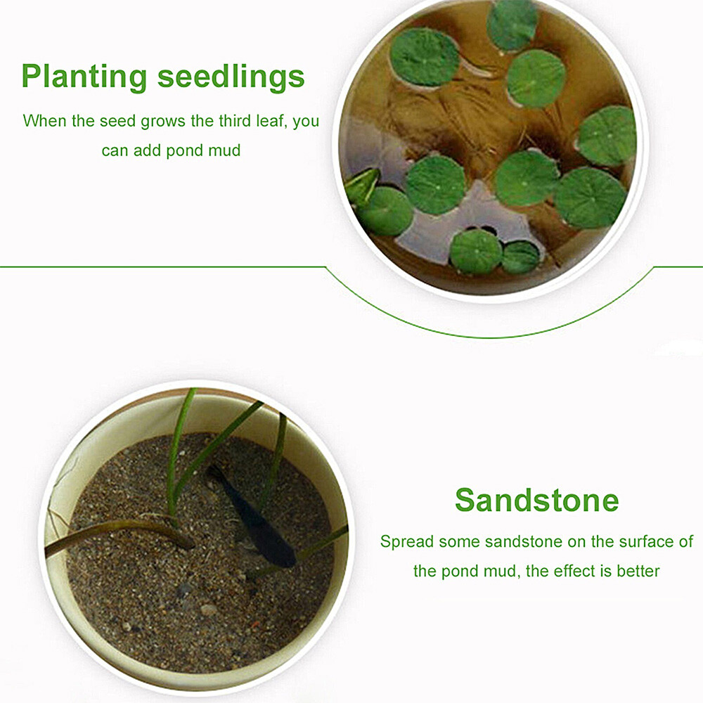 Natural Lotus Pond Mud Aquatic Pond Soil with Nutrients Plant Growing Benchmark