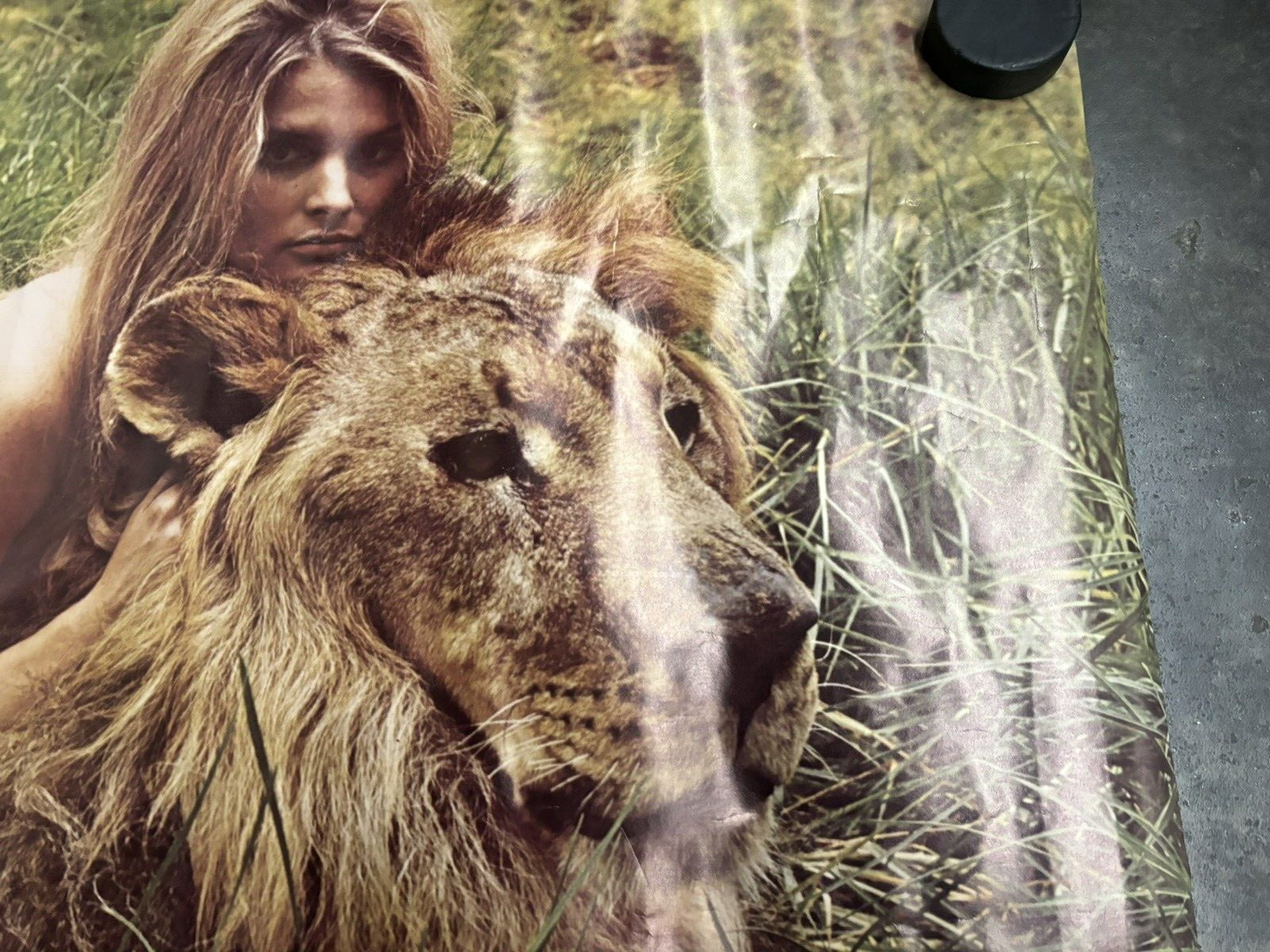 Girl with lion 1970's vintage Poster hot girl C2538
