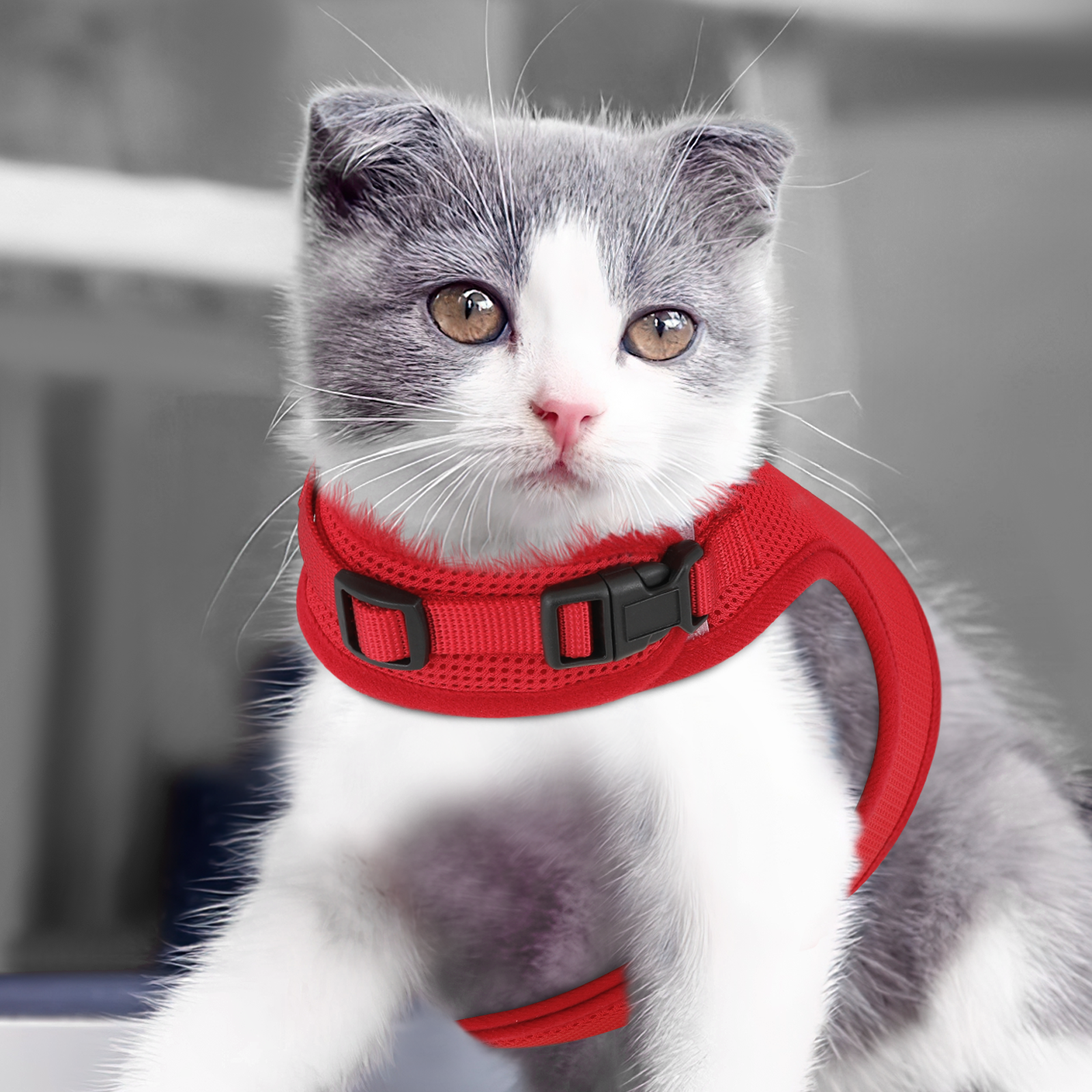 Escape Proof Cat Pet Harness Breathable Mesh Adjustable Walking Kitten Chest Red