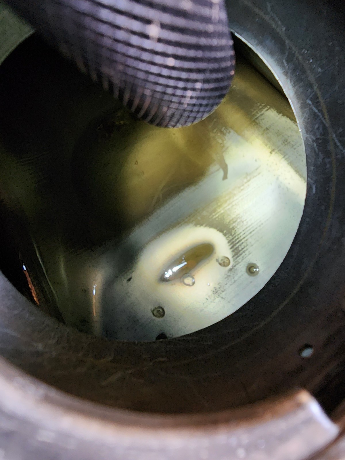 #A403 1993-2008 HONDA SPORTRAX 300 TRX300EX GAS TANK FUEL CELL PETROL RESERVOIR