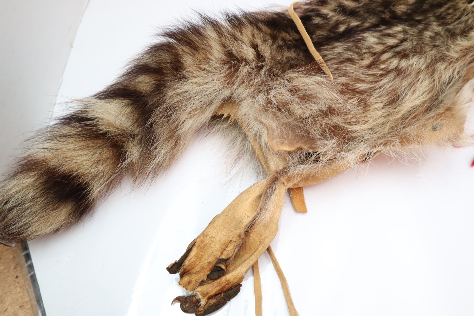 NATIVE AMERICAN INDIAN INNER Badger HIDE LEATHER POUCH BAG PLAINS