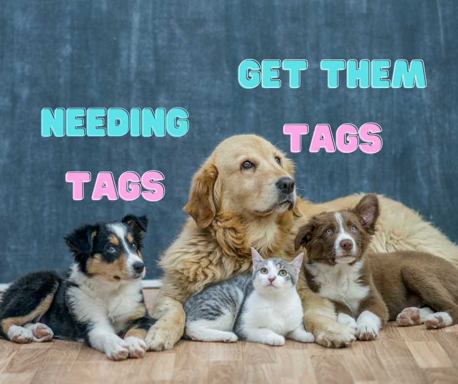 LASER ENGRAVED PERSONALIZED PET TAG ID DOG CAT NAME TAGS DOUBLE SIDE