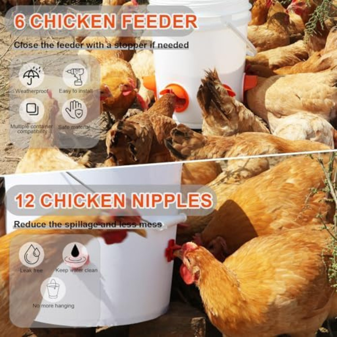 Chicken Feeder No Waste Automatic Poultry Feeder Ports Chicken Feeders and Water