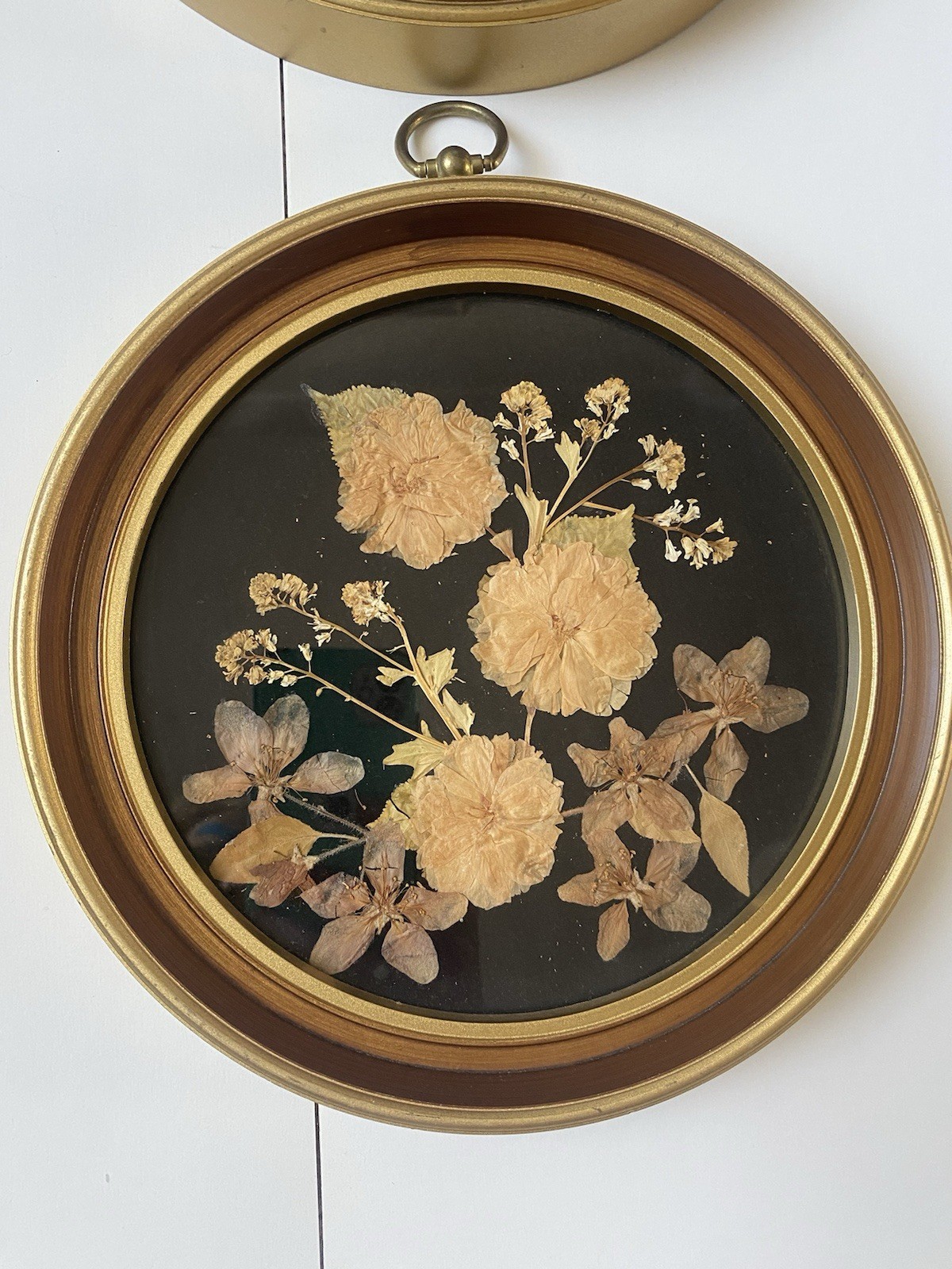 Set of 4 Framed Pressed Flower Art/Wall Decor