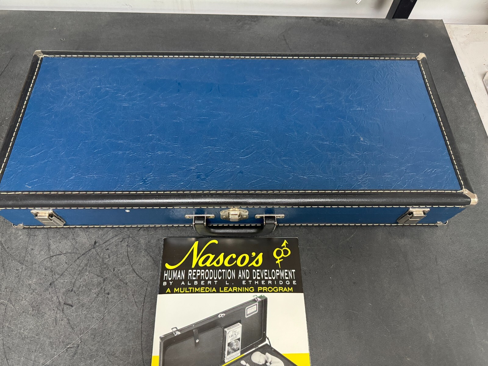 Life Form Replicas Human Reproduction And Development Fetus Model Silicone Baby