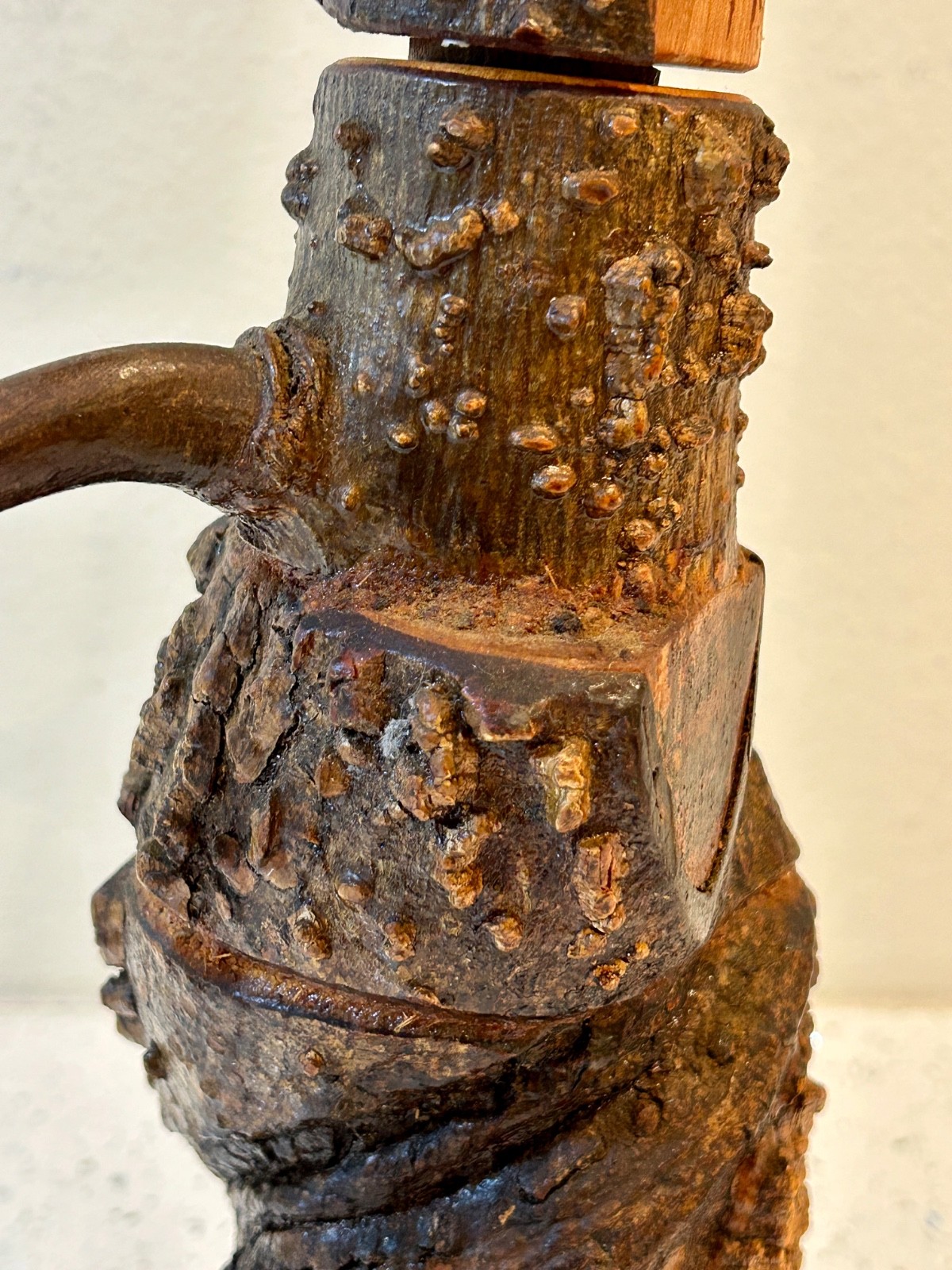 Burl Wood Bottle with Branch Handle from Parque Georgia Brazil - RARE Unusual!