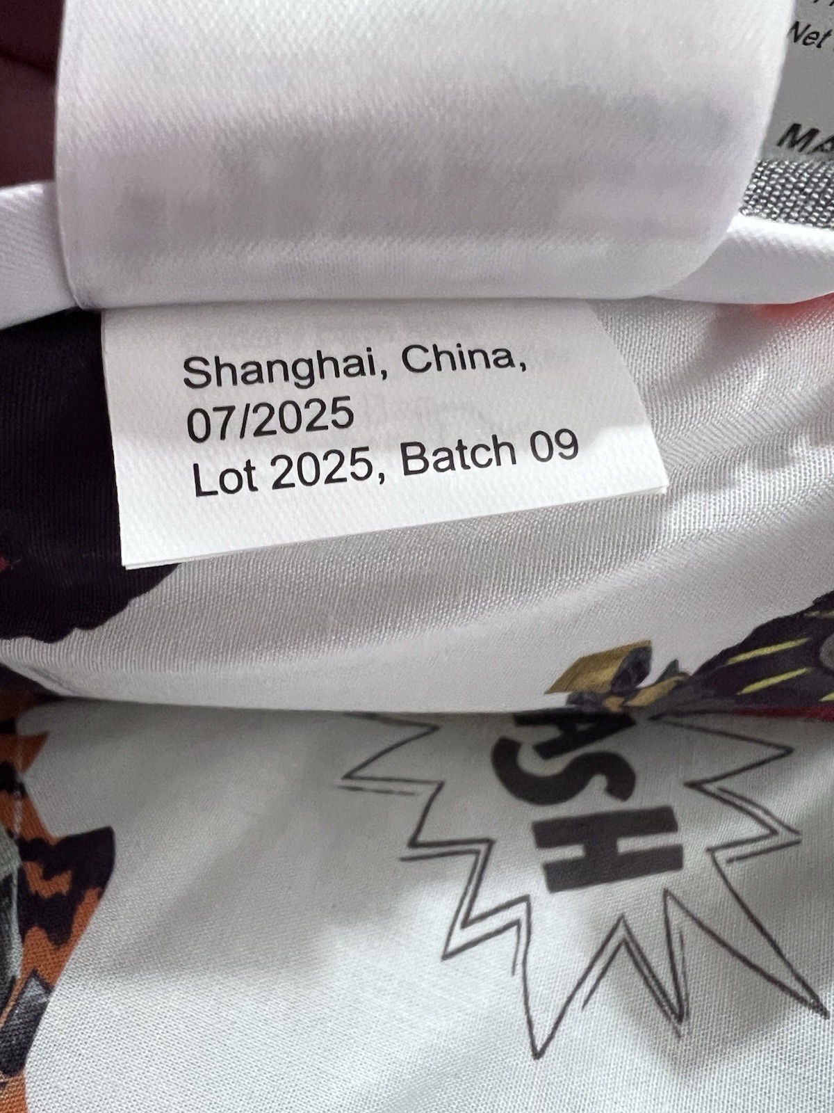 Pottery Barn Kids Hot Wheels Monster Trucks™ Sleeping Bag Mono Colter