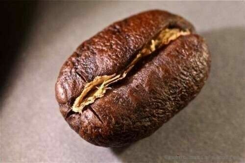 100% HAWAIIAN KONA PEABERRY COFFEE BEANS MEDIUM ROASTED 2 / 12LBS - 1 POUND BAGS