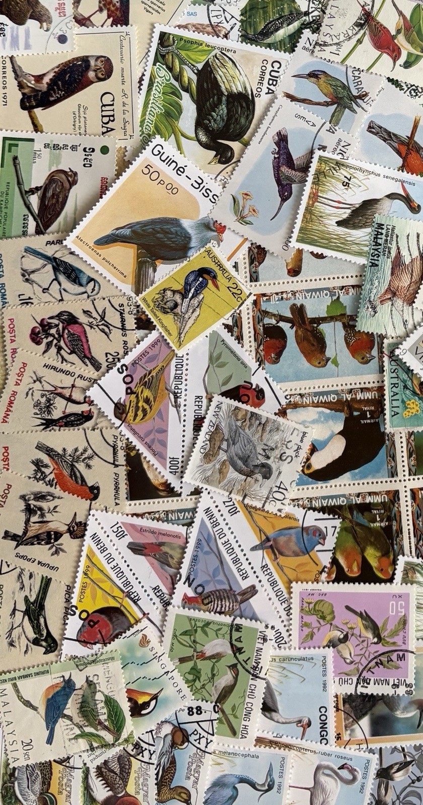Thematic Stamp Packet - Bird on stamps 200 diff NEW COMPOSITION "A" + Free Gift