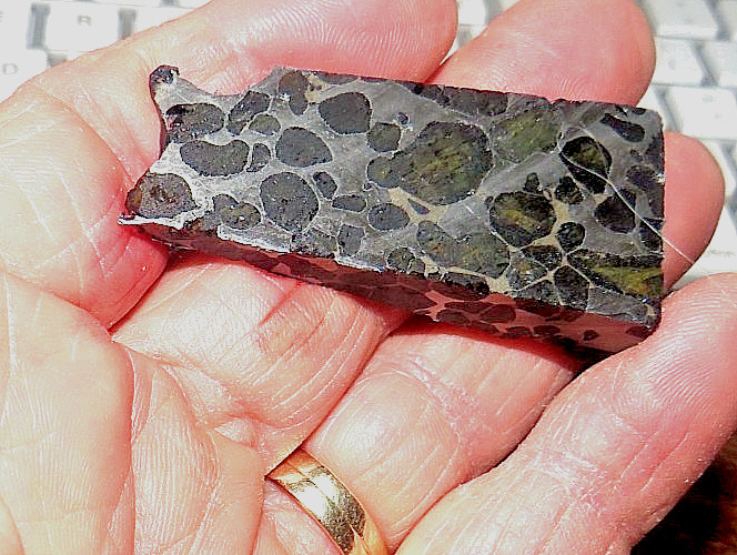 46 gm SERICHO pallasite Meteorite slice wedge shape from Kenya std olivine JAL