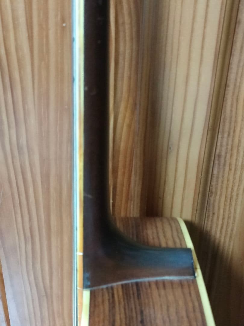 Takamine Elite TW-25 Vintage 1970s Acoustic Guitar Japan