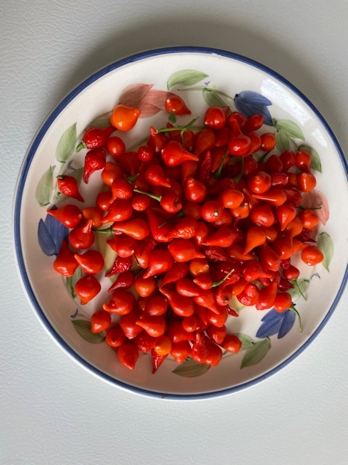 30+ Red Biquinho Pepper Seeds Brazilian Heirloom