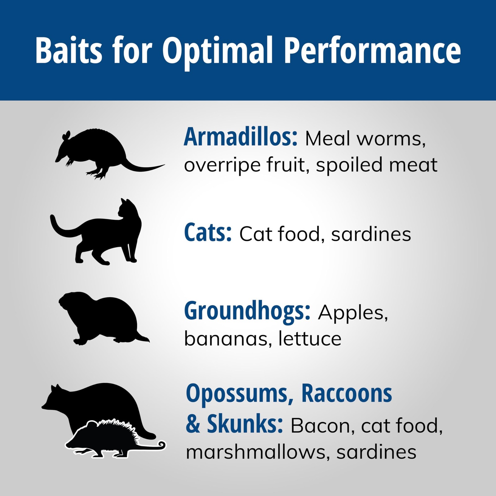 1079SR Large 1Door Humane Catch and Release Live Animal Trap Cage Live Racco...