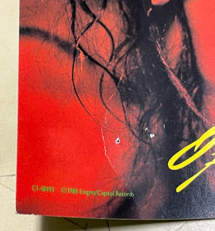 Vintage 1988 Poison Promo Poster 12" x 12" Open Up and Say Ahh! Uncensored