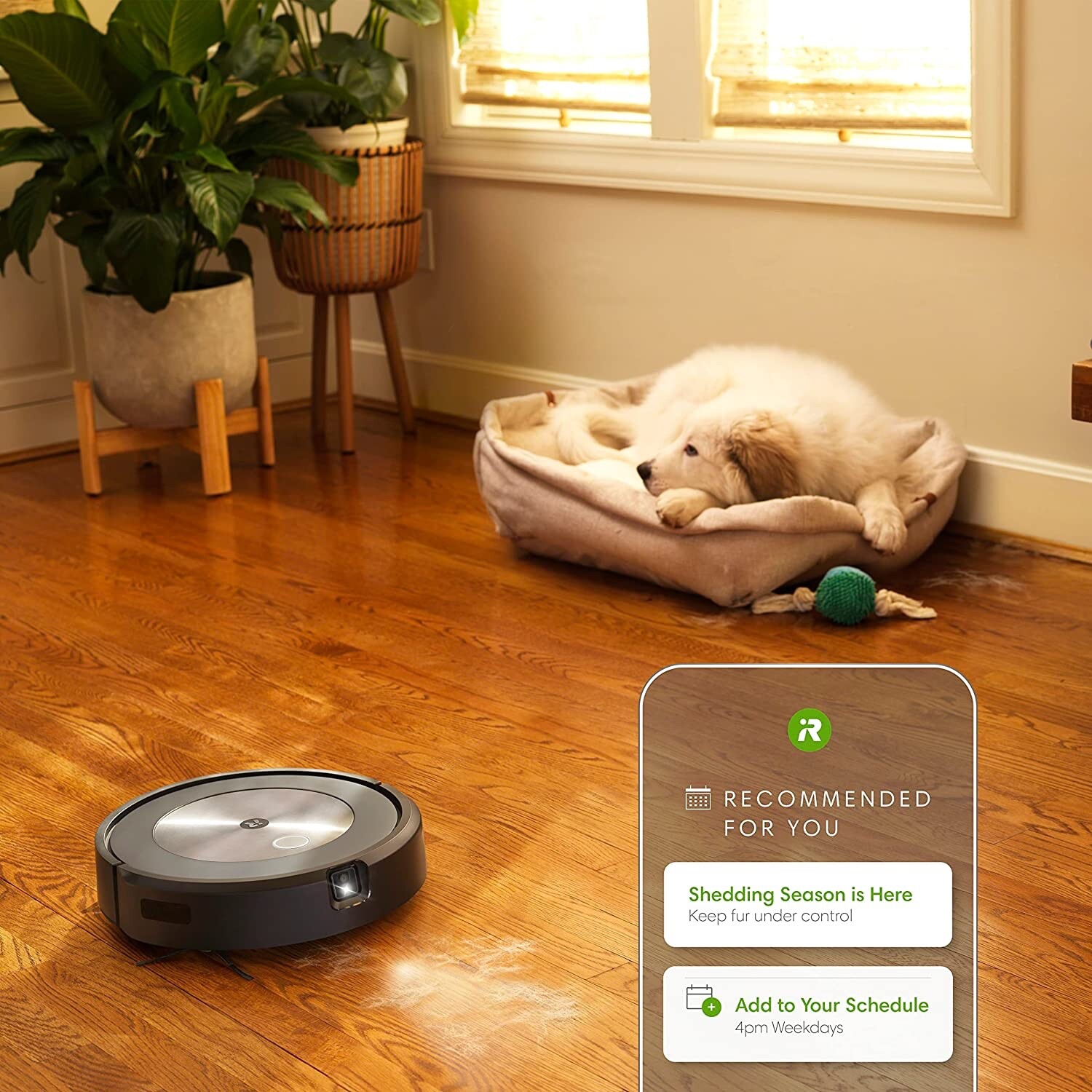 iRobot Roomba j7+ Self-Emptying Vacuum Cleaning Robot - Certified Refurbished!
