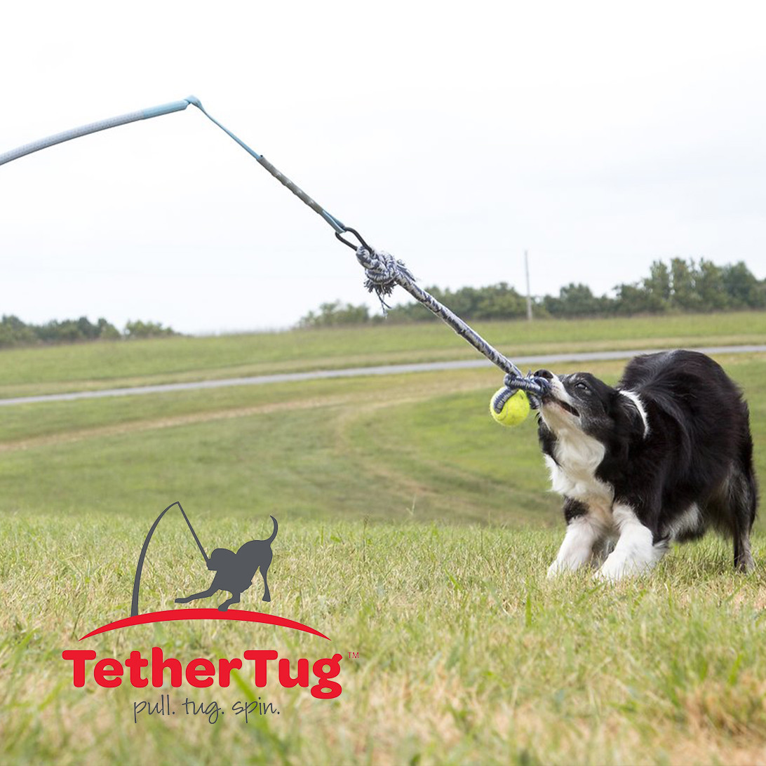 Tether Tug V2 Outdoor Dog Interactive Toy Tugging Pull Exercise 5-70 lbs and Up