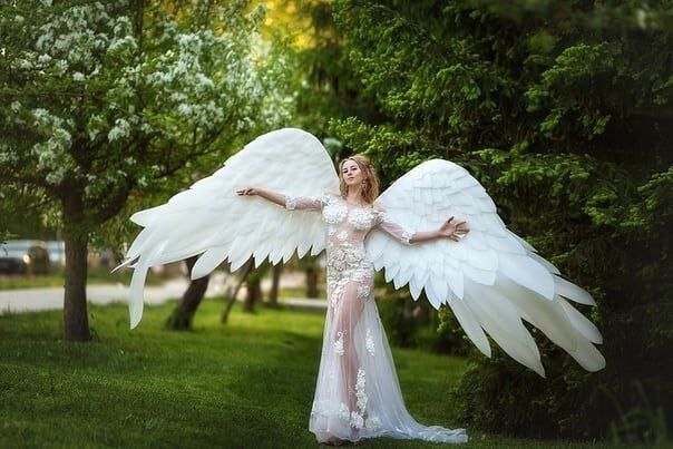 Angel wings costume sexy cosplay white angel bird wings wings cosplay angel cost