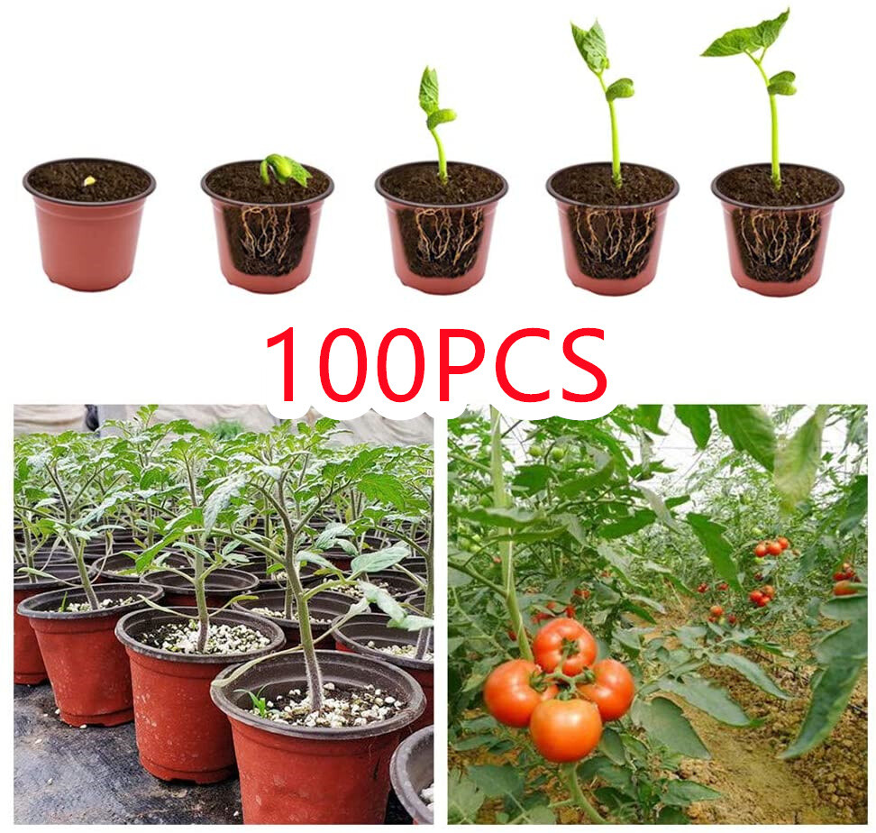 Plastic Plant Flower Pots Nursery Seedlings Pot Plant Container 100Pcs