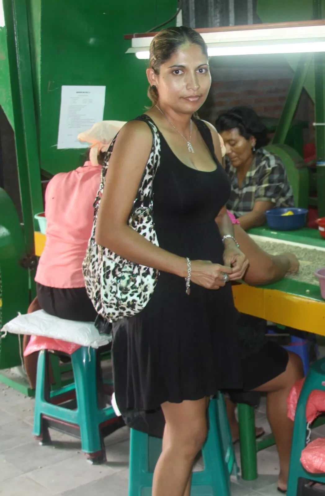 TANZANIA KILIMANJARO COFFEE BEANS PEABERRY MEDIUM ROASTED 5 POUNDS