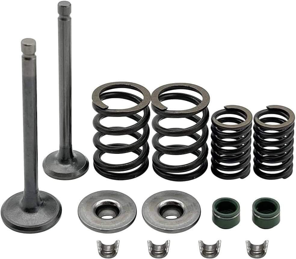 Cylinder Head Intake & Exhaust Valve Seal Springs for Honda XR80R XR100R 1986-03