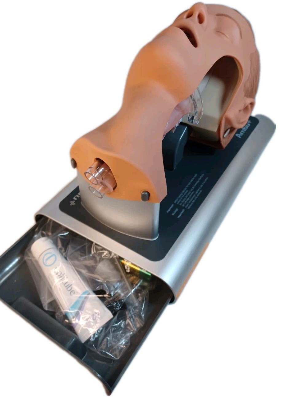 Ambu Intubation Airway Management Trainer – 186002000 - No Packaging