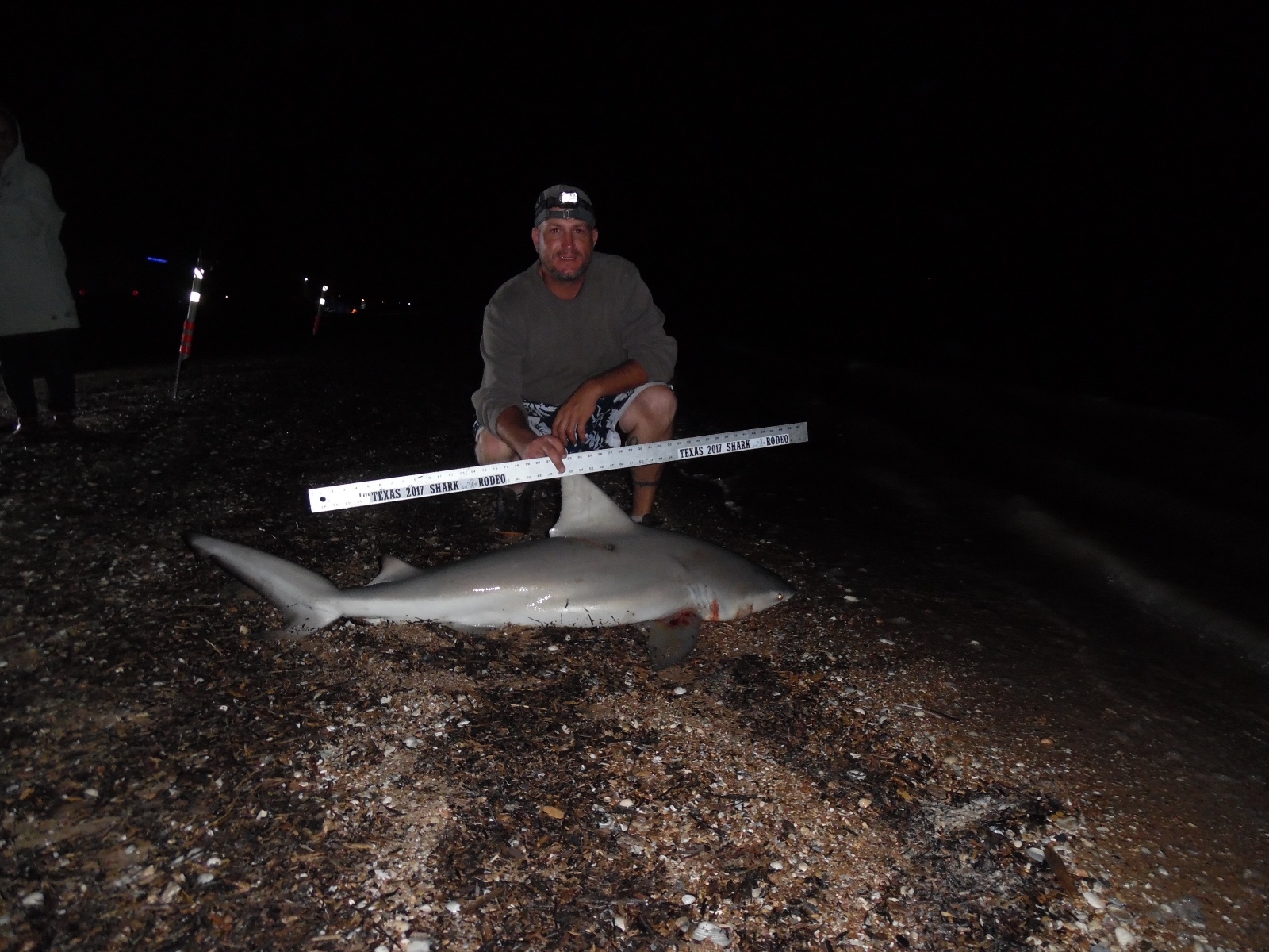 The Shark Rig -6 ft Castable Shark Fishing Leader -16/0 Circle Hook Surf Fishing