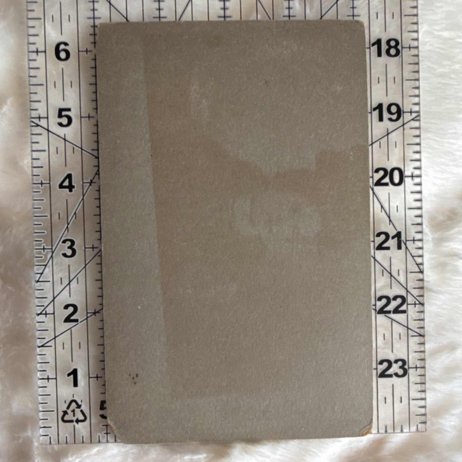 Wendt Cabinet Card Photograph Woman Sepia Portrait Brooklyn NY" Vintage