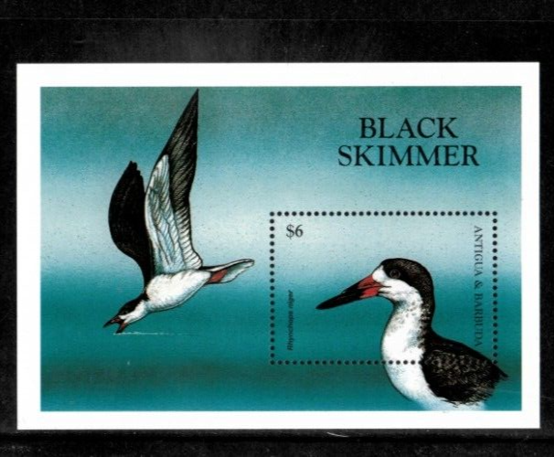 Antigua 1998 - Black Skimmer, Birds - Souvenir Stamp Sheet - Scott #2209 - MNH