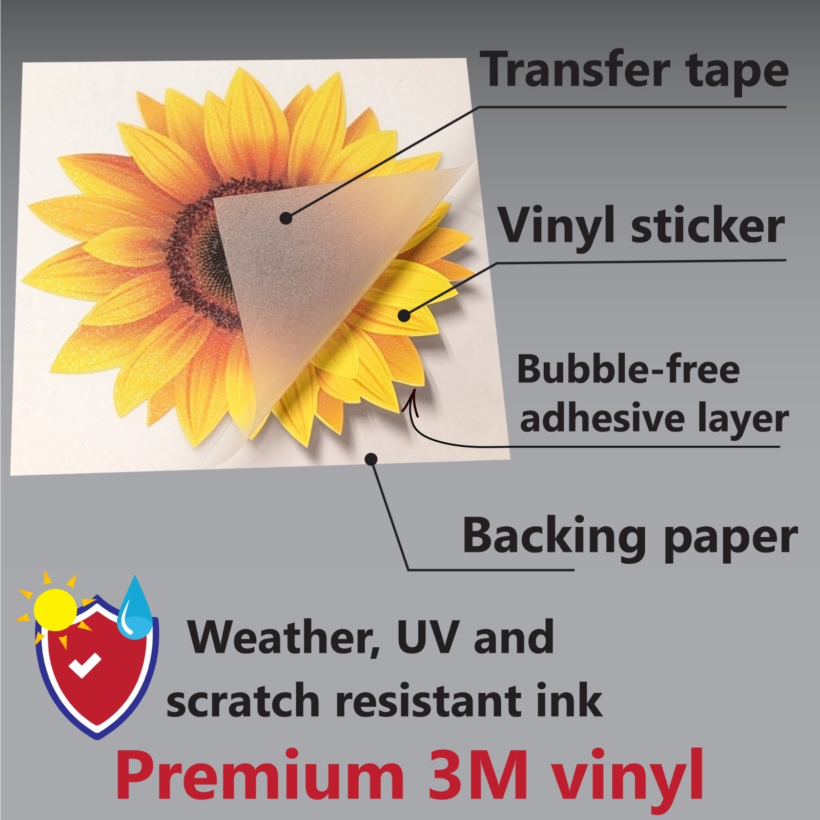 Road Runner BEEP! LOONEY TUNES DECAL STICKER TRUCK VEHICLE WINDOW CARTOON