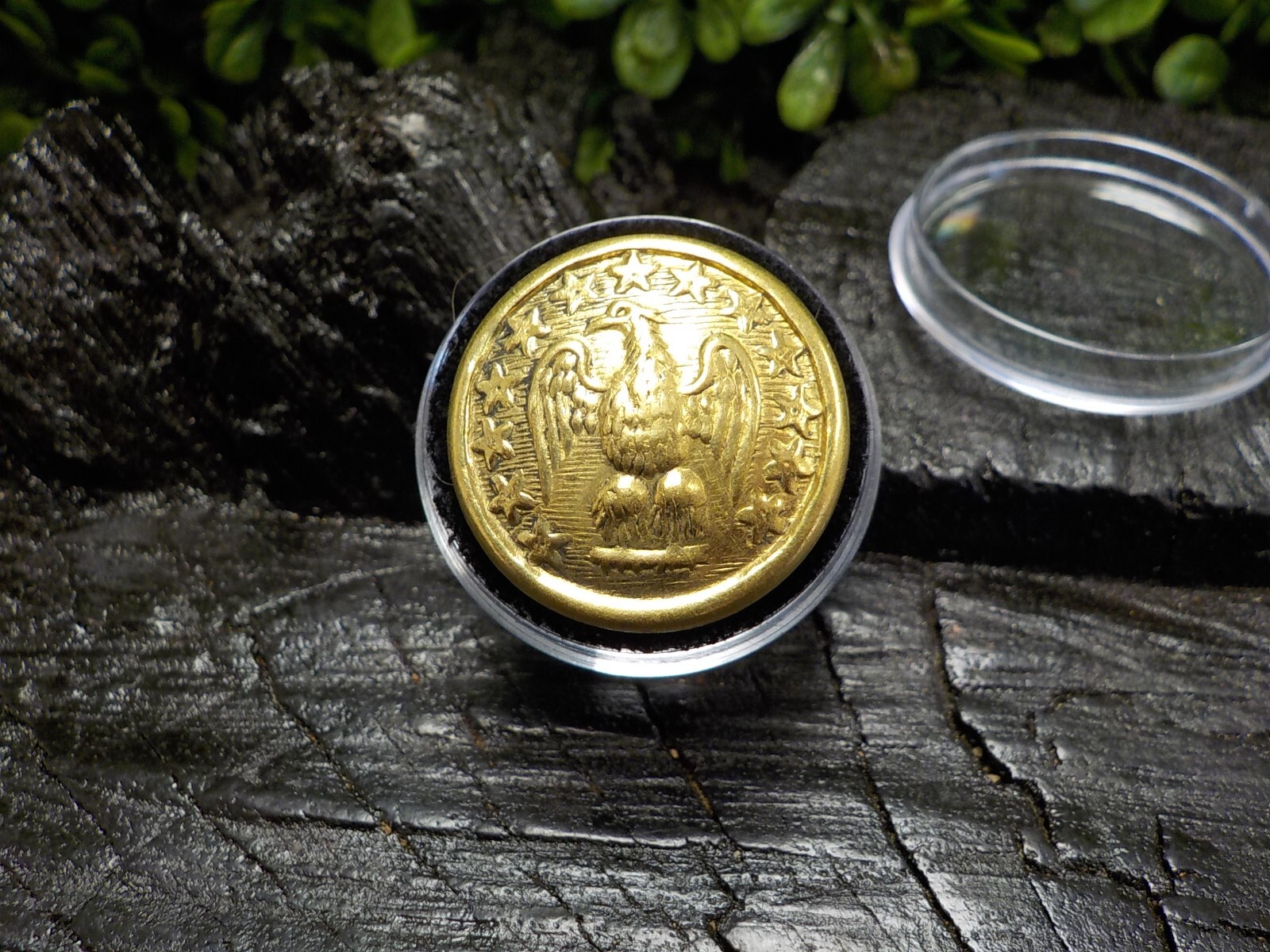 24k Gold Plated Confederate Staff Officers Coat Button with Free Button Case