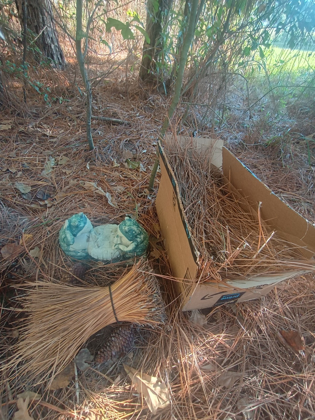 Louisiana Cajun Native LongLeaf Pine Needles 2 Pounds Garden Mulch Art Craft⚜️