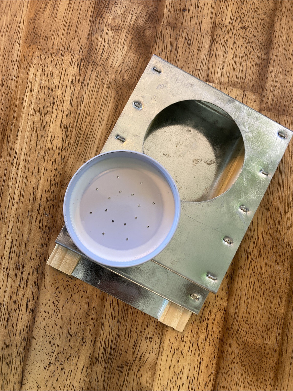 Entrance Feeder for Mason Jar Large/small entrance Borgman Bee Feeder