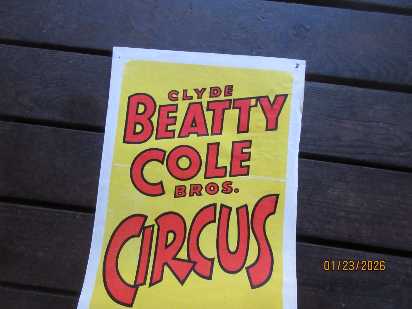 Vintage Clyde Beatty Cole Brothers Circus Poster World's Largest Circus Lion