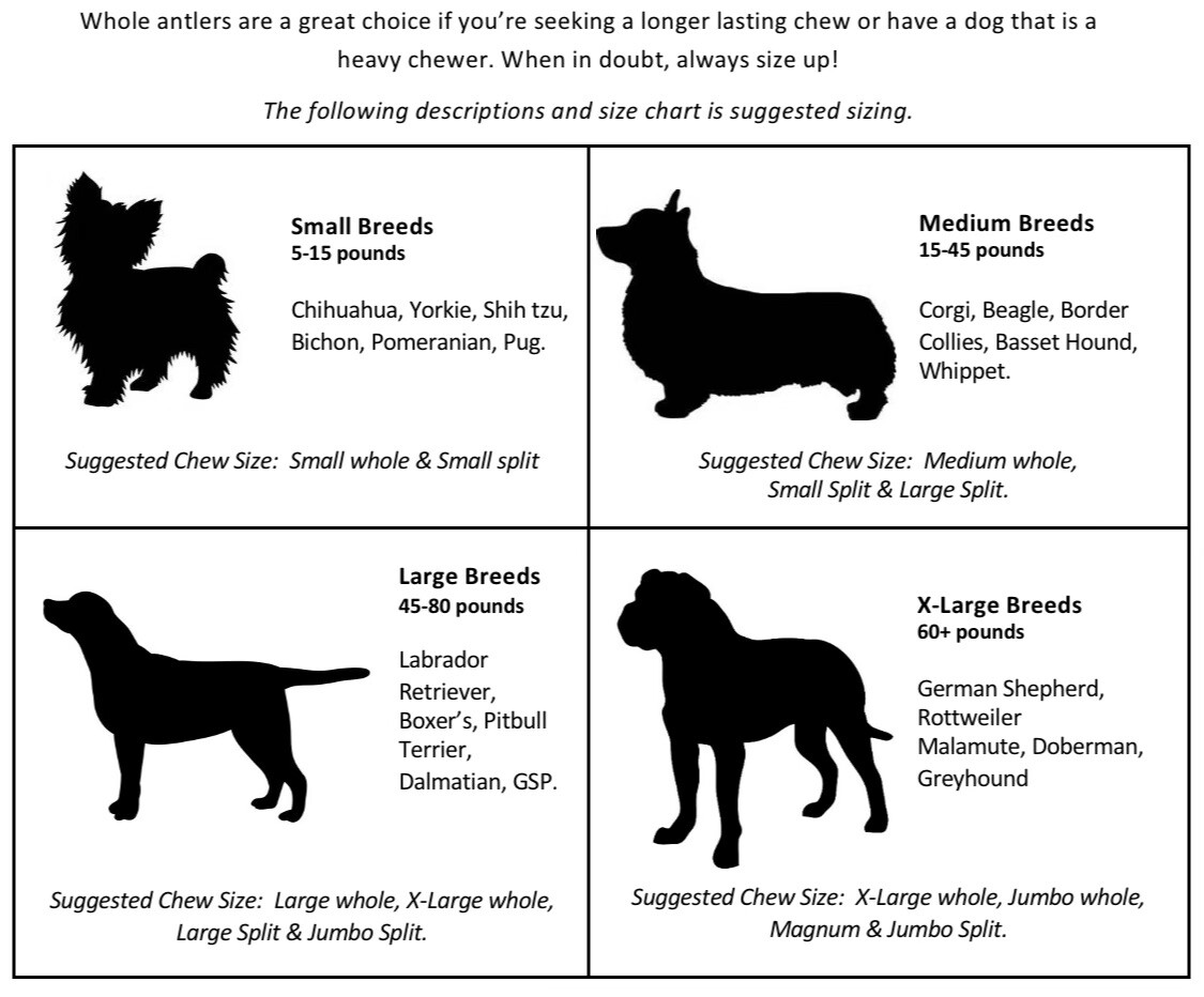 (6 PACK) SPLIT ELK ANTLER PREMIUM CHEWS (4-6") **OREGON ANTLER WORKS**