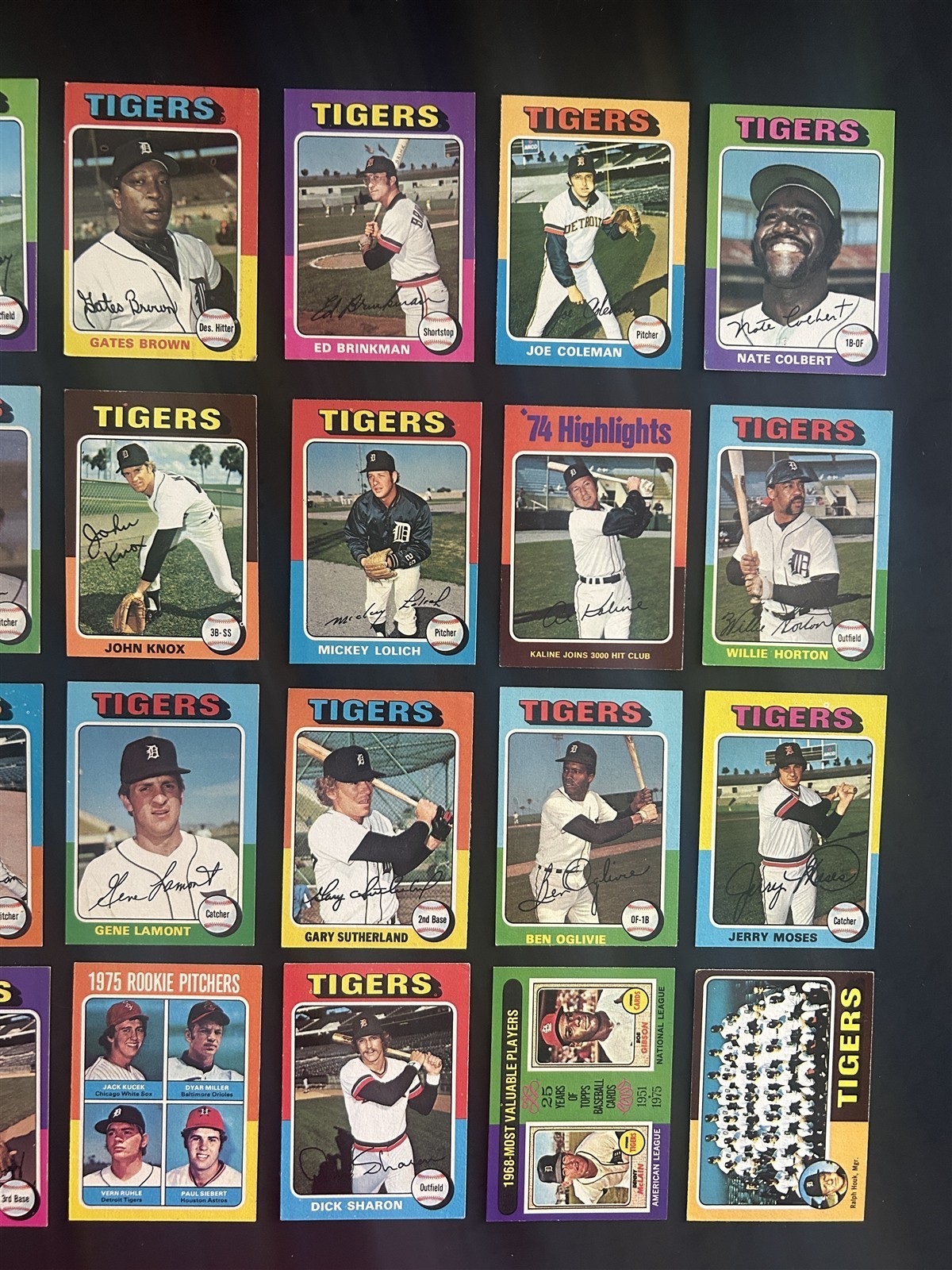 1975 Topps DETROIT TIGERS Team Set AL KALINE #3000 Lolich FREEHAN LeFlore HORTON