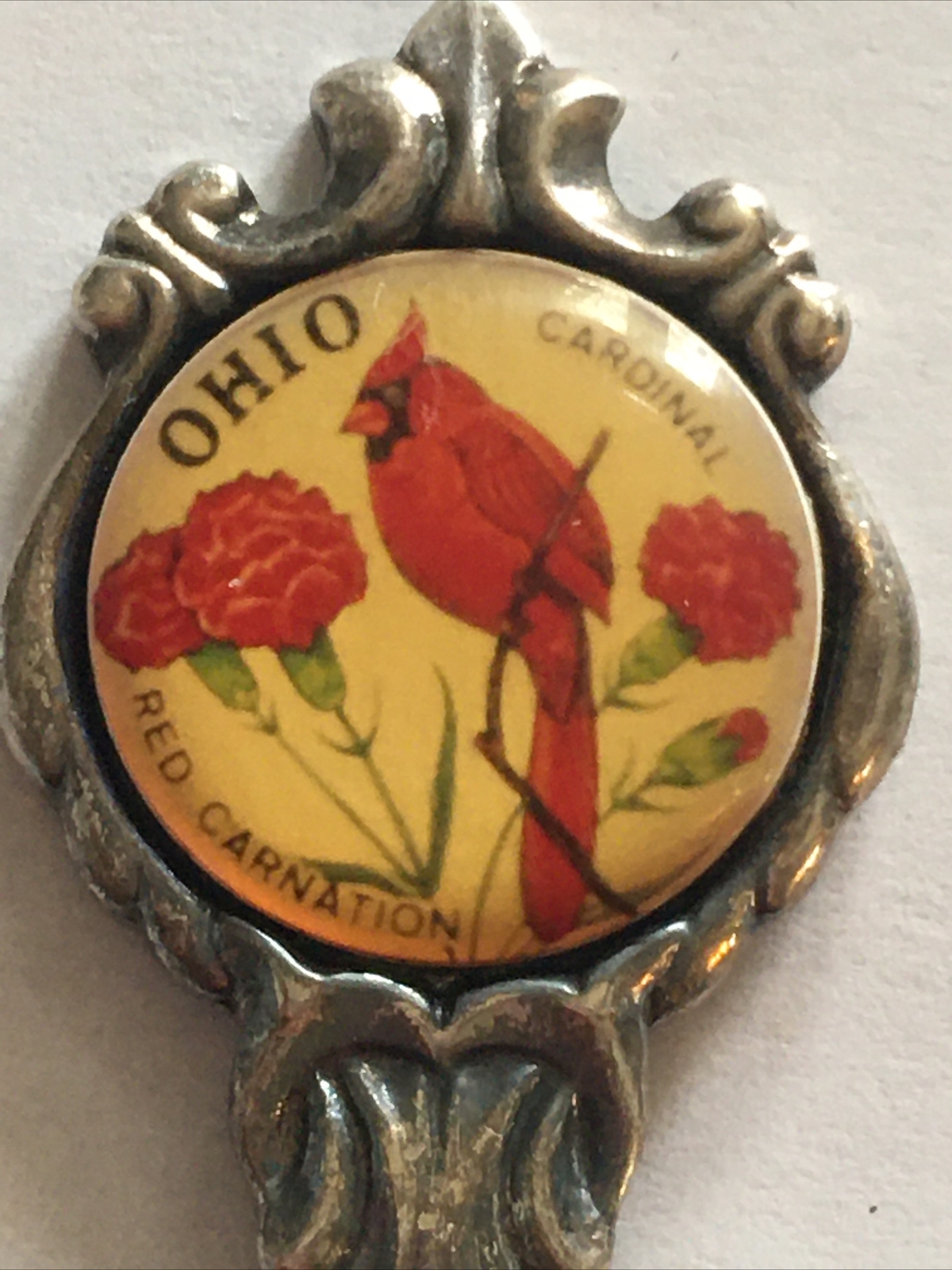 Vintage Souvenir Spoon US Collectible Ohio Cardinal Red Carnation