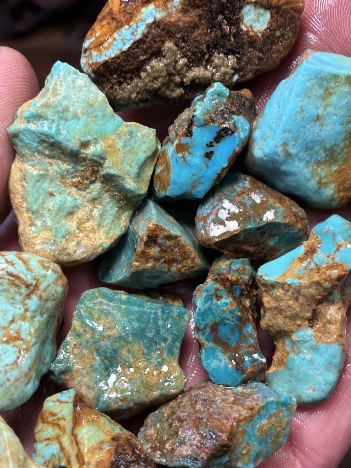 Turquoise Mountain - Kingman Blue Turquoise in Classic Red Matrix. 1 Lb.