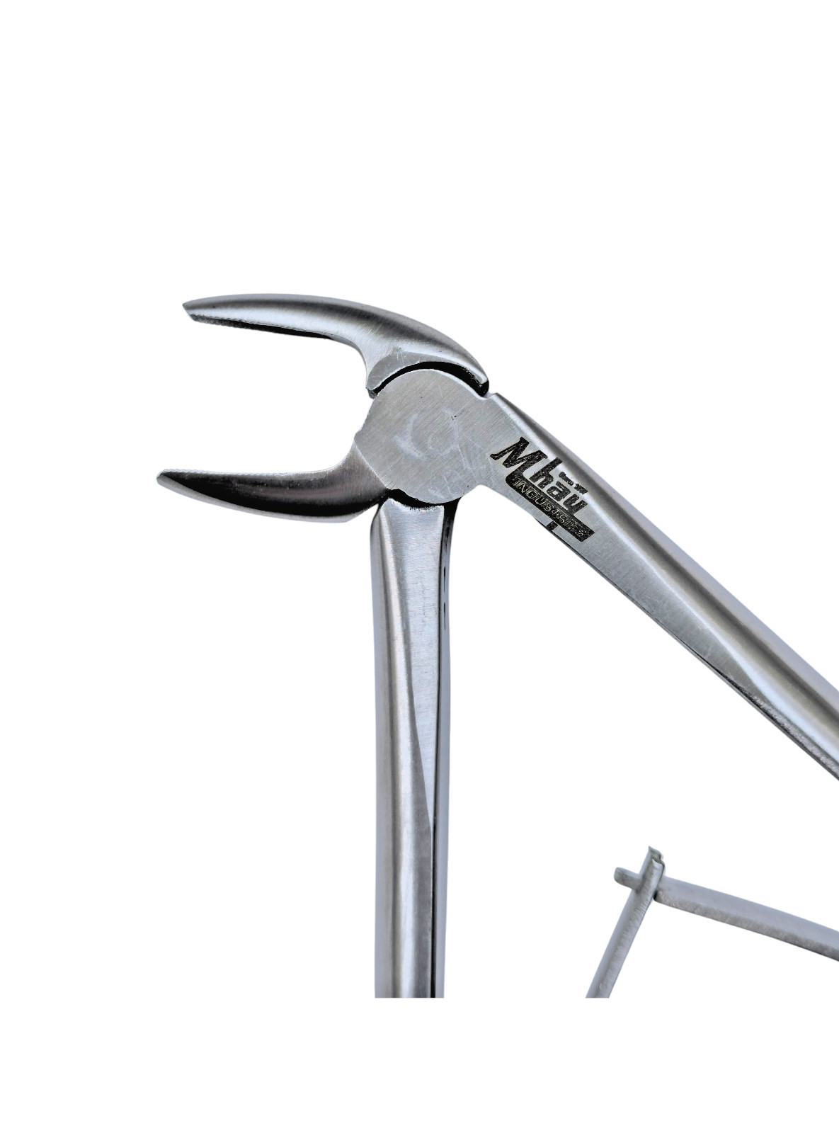 Dental Extraction 45° Curved Forceps 8" (Open)