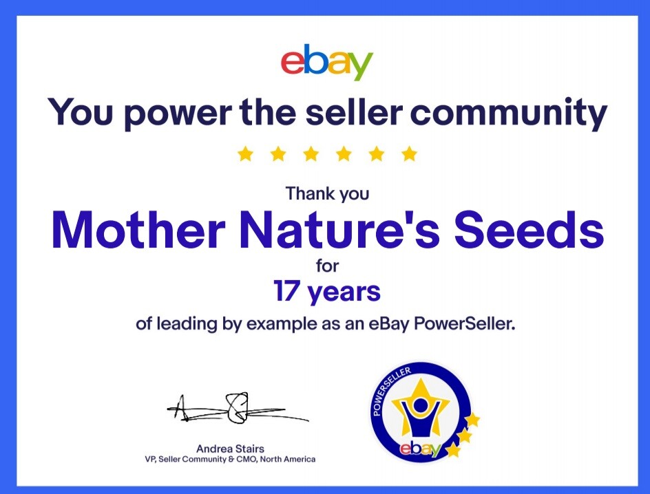 Landscaper's Pack Cornflower Bachelor Button DWARF MIX Non-GMO 1500 Seeds!